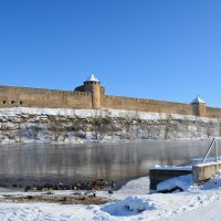 Ивангородская крепость :: linnud 