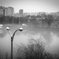 После дождя (зимой) :: Игорь Протасов