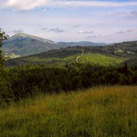 Карпаты :: Роман Савоцкий