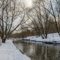 Зимний пейзаж :: Серый 