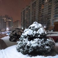 Эх, снег, снежок! :: Татьяна Лютаева