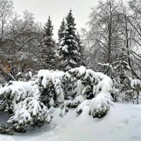 Зима в Минске :: Игорь Сычёв