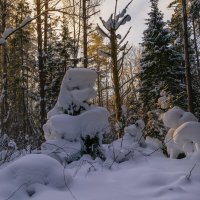 Зимние причуды :: Сергей Цветков