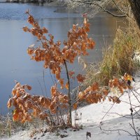 Декабрьские зарисовки :: Маргарита Батырева