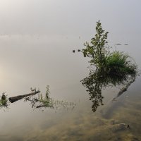 Островок в тумане :: Василий Колобзаров