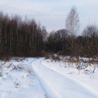 Занесло дорогу снегом ( репортаж из поездок по области). :: Милешкин Владимир Алексеевич 