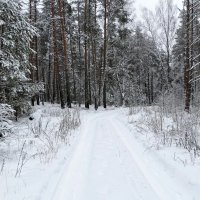 Зимняя природа Смоленщины. :: Милешкин Владимир Алексеевич 