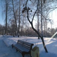 Зима в сквере города :: Нина Колгатина 