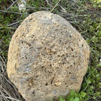 Древнее ядро или метеорит нашёл сегодня в поле, кто определит? :: Александр Деревяшкин