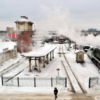 Паровозное веерное депо "Подмосковная". :: Татьяна Помогалова