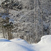 В снегах :: Татьяна Лютаева