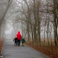 Прогулка сквозь туман :: Нина Бутко