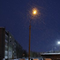 Снегопад :: Ольга 