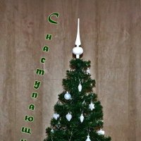 С наступающим Новым годом! :: Светлана 