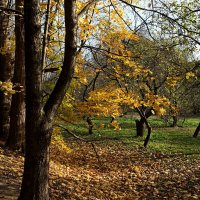 Осень в парке :: Игорь Белоногов
