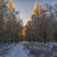 Зимняя дорожка :: Сергей Цветков