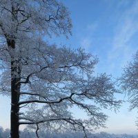 Зима на озере :: Вера Щукина
