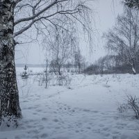 "Погода вновь — займи и выпей..." :: Михаил "Skipper"