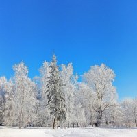 Зимние зарисовки. :: Анатолий Пашковский