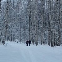 пенсионеры лыжники :: Владимир 