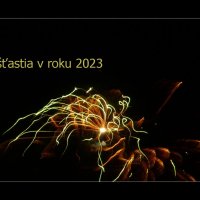 удачи в новом 2023 году :: Jiří Valiska