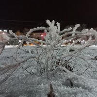 C Новым Годом Друзья ! Любви и спокойствия в ваши дома! :: Серж Поветкин