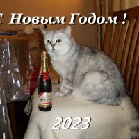 С Новым Годом ! :: Вик Токарев