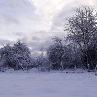 Зимний пейзаж .Вечер :: Антонина Гугаева