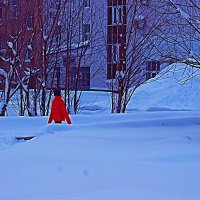 Декабрь,..Среди сугробов! :: Владимир 