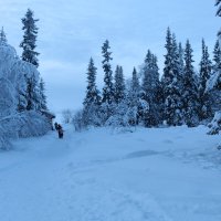 Зима в Лапландии :: Ольга 