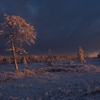 Морозный закат Заполярного круга. :: Сергей Мартьяхин