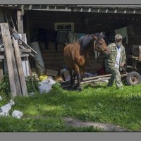 *** :: Николай Андреев