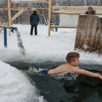 Моржи :: Валерий Михмель 