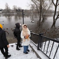 Кормление уток  на набережной Десны в январе :: Евгений 