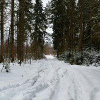 Не проехать, не пройти. :: Милешкин Владимир Алексеевич 