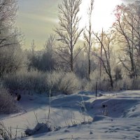Зимний пейзаж :: dli1953 