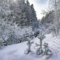 Морозный декабрь :: Vladimbormotov 