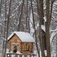 Кормушка в зимнем лесу :: Нина Колгатина 