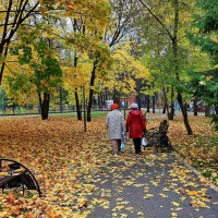 Осень в парке. :: Николай Рубцов