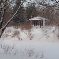 Зима в Японском Садике :: юрий поляков