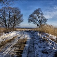 Зимний пейзаж :: Татьяна Маркова