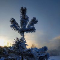 В Москве - морозно (около -20) :: Андрей Лукьянов