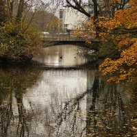 Осень в парках Германии(серия) :: Владимир Манкер