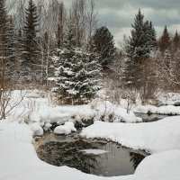 *** :: Алексей Мезенцев