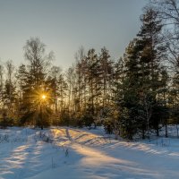 Мороз и Солнце Января :: Андрей Дворников