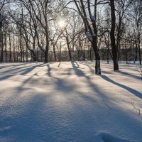 Январский полдень :: Валерий Иванович