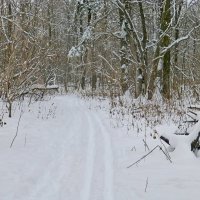 Лесная прогулка зимой :: Raduzka (Надежда Веркина)