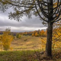 Октябрь в Царицыно... :: Владимир Жданов