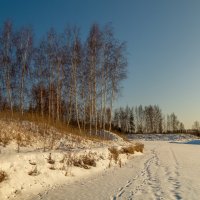 Морозное январское утро # 05 :: Андрей Дворников