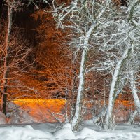 Зимний ночной пейзаж - деревья в снегу и сияющие уличные фонари :: Руслан Лесков